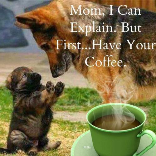 2f7bd26e189012c002b2dcb202918a19