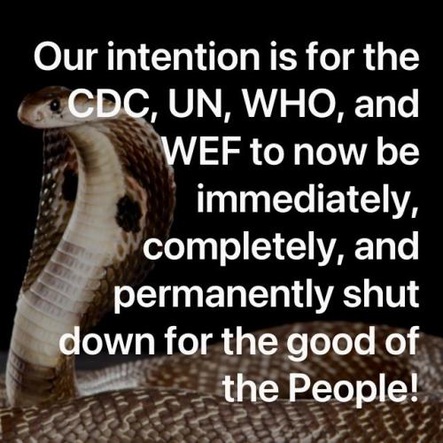 095a2d12-e57e-46fc-8c66-591fc7427a53