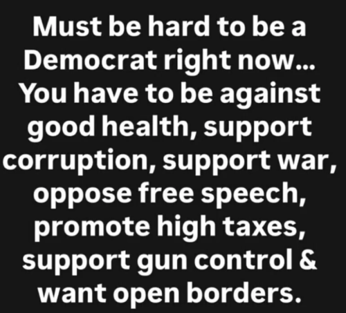 image_2025-03-29_091004619