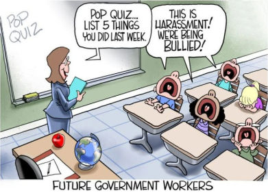 government efficiency51