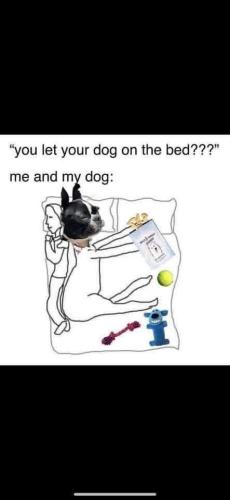 FB_IMG_1741786455996