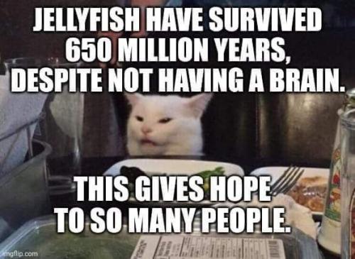 2863731af208b053886b6c3f07d51cc3