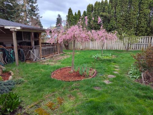 IMG_20250328_114242734_HDR