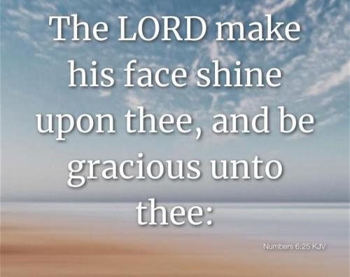 b24d3bf8-a38d-40a5-b6a2-a9a81789d685