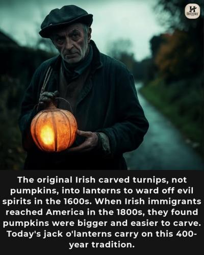 475692961_122160734798330721_7438719369917304644_n