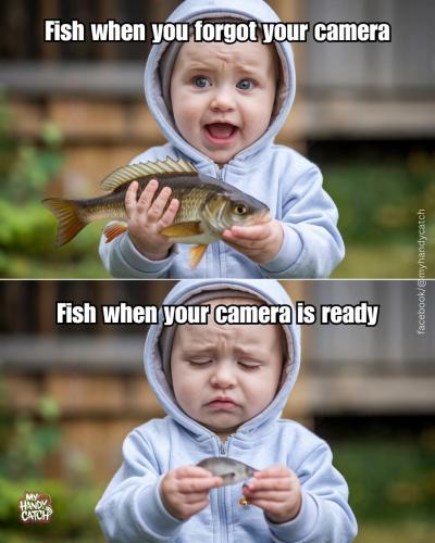 FB_IMG_1741982380969