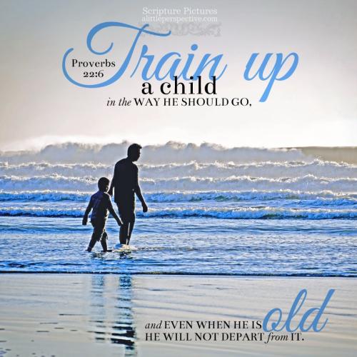 pro-22-6-JPS-pixabay