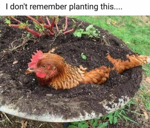 image_0EC762A6-0783-491E-8B04-704C039F4DD1