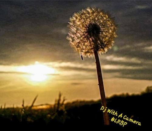 Screenshot_20250316_185237_Gallery