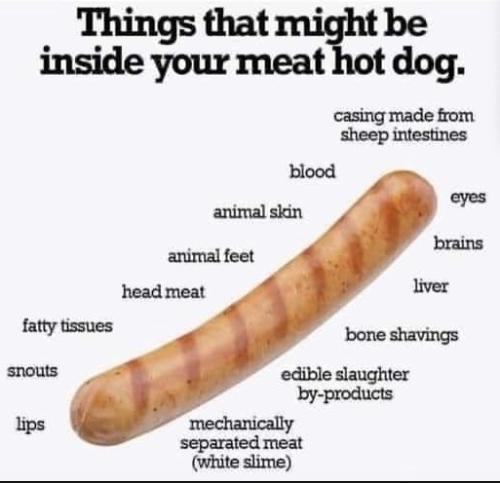 Image 21-03-2024 at 23.47