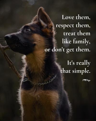 FB_IMG_1741980551640