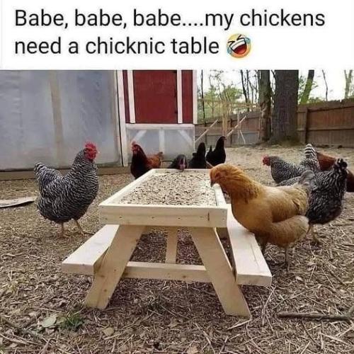 484956844_581064994977178_5567728452908250401_n