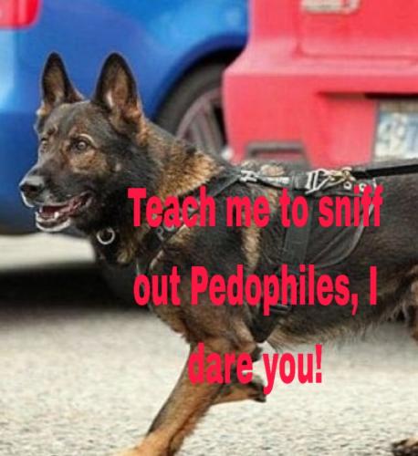 Picsart_23-08-13_09-18-57-725