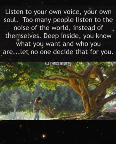 IMG_20250322_130717_465