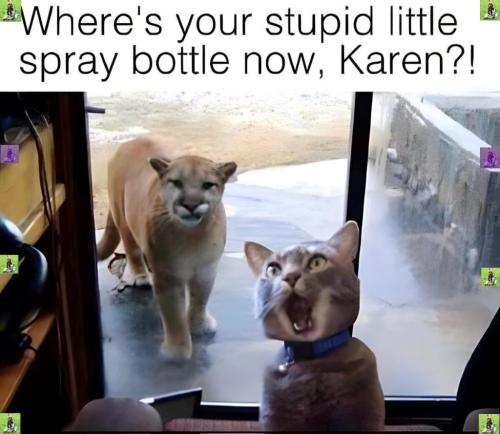 9A72D5F0-3926-477C-BB14-DC3BD3086D80