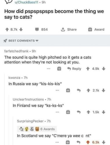 image_66C2E08D-F598-4D56-BFEC-404BB63CAF3B