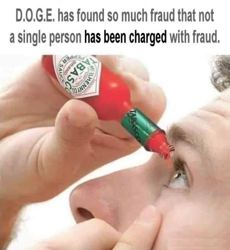 government efficiency66