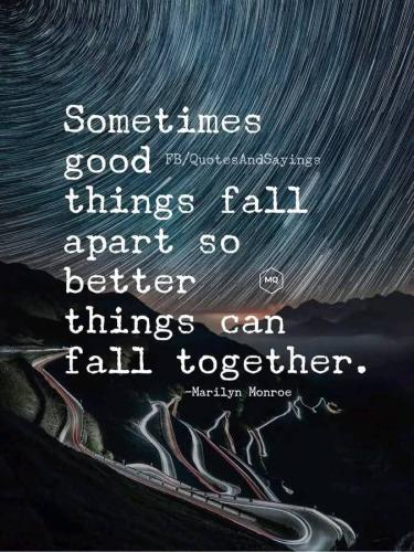 FB_IMG_1739209019131