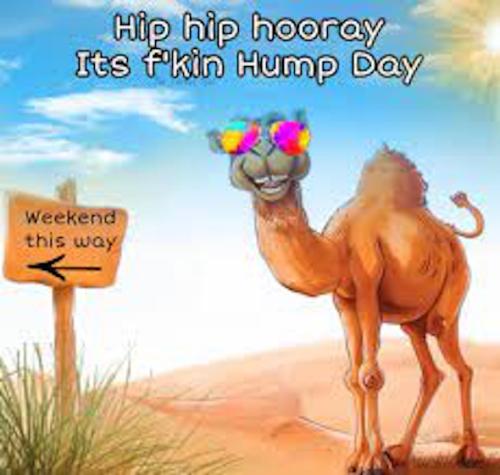 1-Hump Day