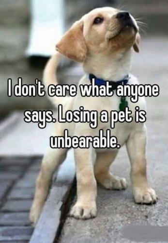 FB_IMG_1743247540632