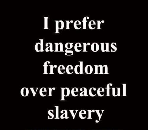 Freedom vs. Slavery