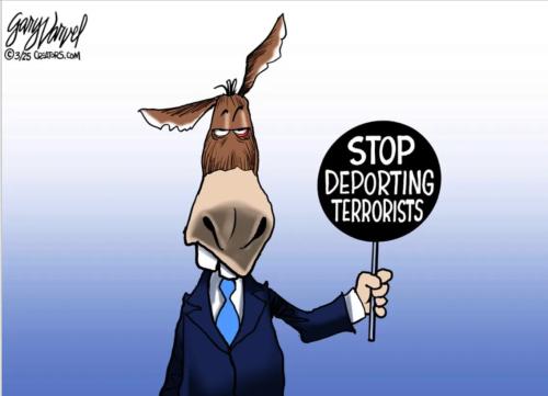 c855b789-6907-4779-a0d5-e2509a52bcea_1136x822