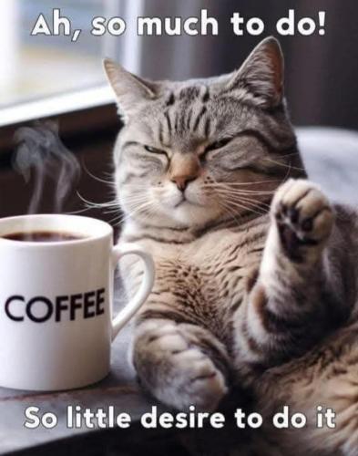 image_B7D54FA3-479A-4E2B-B4D7-36132B68F4CC