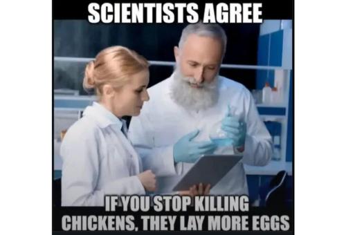 7a853a4c-6fff-4366-9702-bd9967761fa6_1062x724