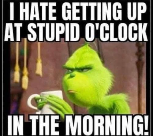 FB_IMG_1742482719707