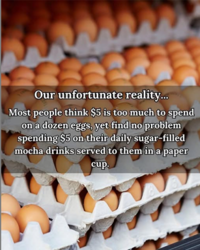 Screenshot 2025-03-16 190815