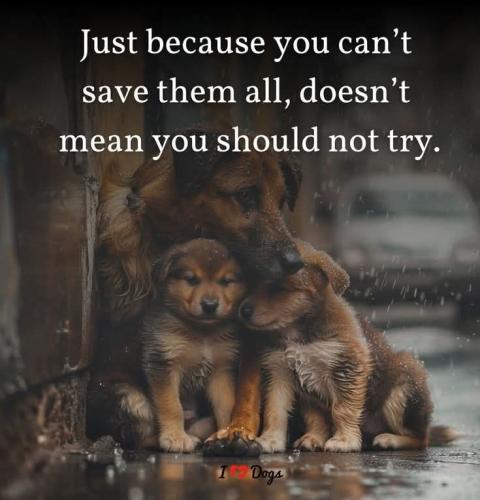 FB_IMG_1742312785337