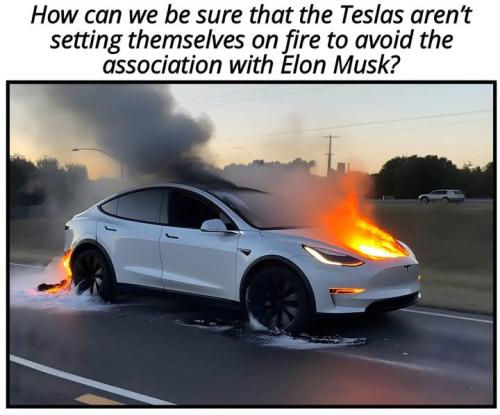 FB_IMG_1742614461100