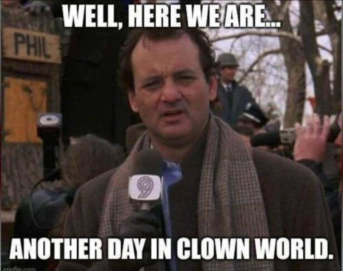 IMG_20250320_052944_274