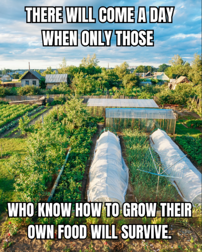 Screenshot 2025-03-12 105739