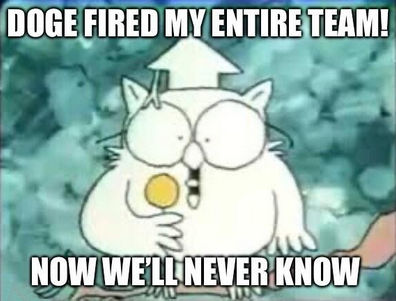 government efficiency55