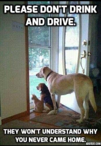 a4462698-2f88-4cb7-a992-dac0426f1d9c