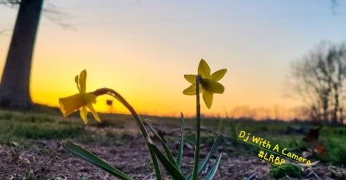 Screenshot_20250304_141146_Gallery