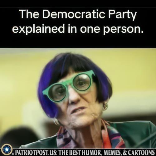 Dems Revealed