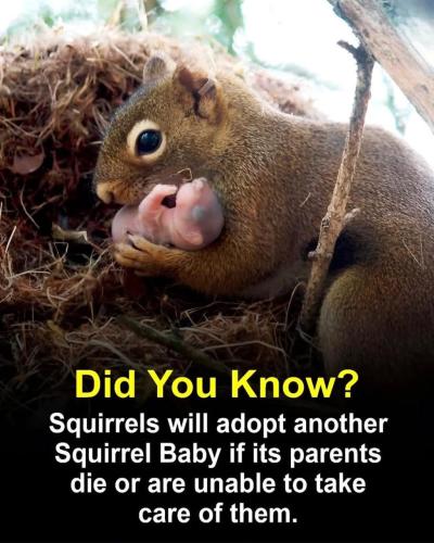 7177A78D-BF59-4933-8855-B1C278437753