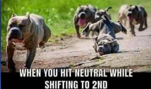 Screenshot_20250304_140850_Gallery