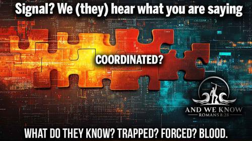 IMG_20250326_114105_899