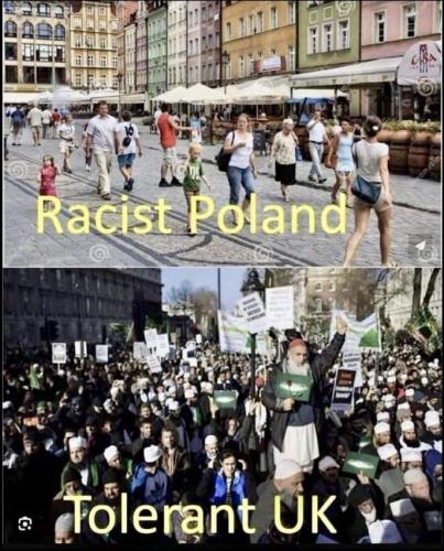 IMG_20250312_033154_837