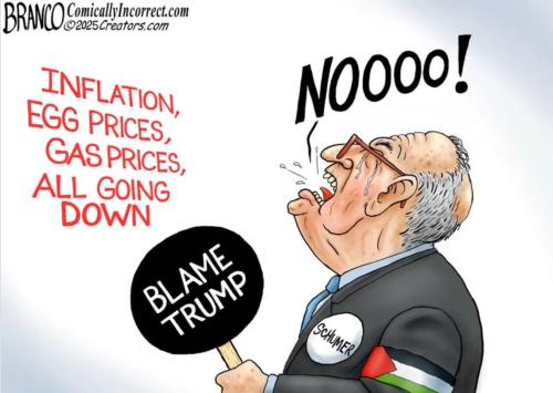 0fcd8893-d858-41c3-911f-371074a98602_1142x812