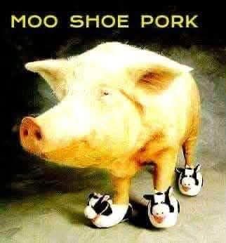 FB_IMG_1742824025564