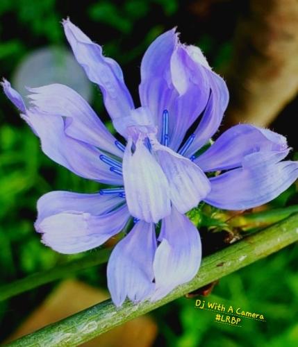 Screenshot_20250315_154642_Gallery