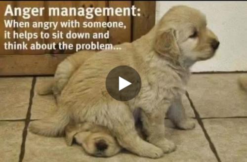 C516E349-E6C0-49BD-B170-43B82B2B37B1