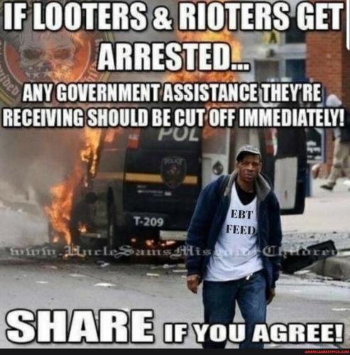 2011600b5bedebdeb819fe8aec6507cd2c6705cc47307003d6b6db5ec692b17a_1