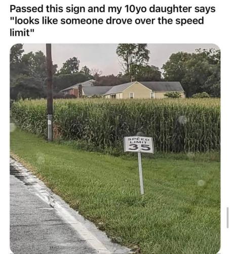 FB_IMG_1740872227191