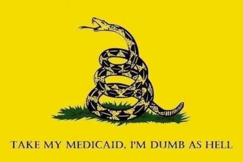 FB_IMG_1742055923148