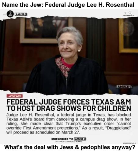Name the Jew Federal Judge Lee H. Rosenthal.960px